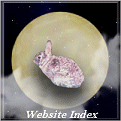 Site Index