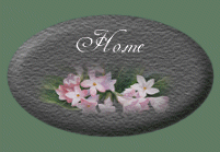 Website main page